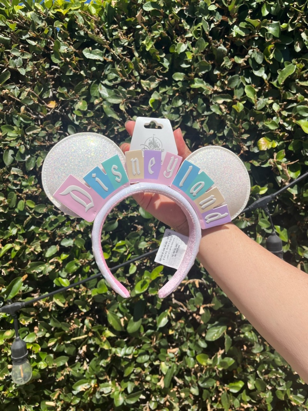 New Disneyland Spring Ears